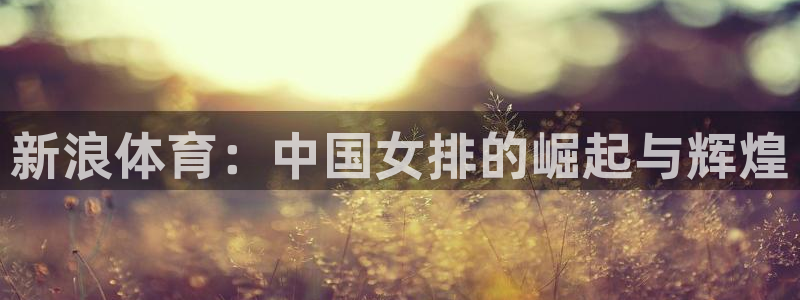 新浪体育：中国女排的崛起与辉煌