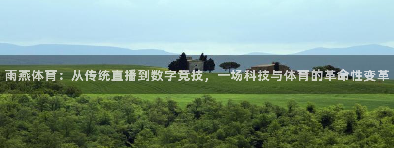 雨燕体育：从传统直播到数字竞技，一场科技与体育的革命性变革