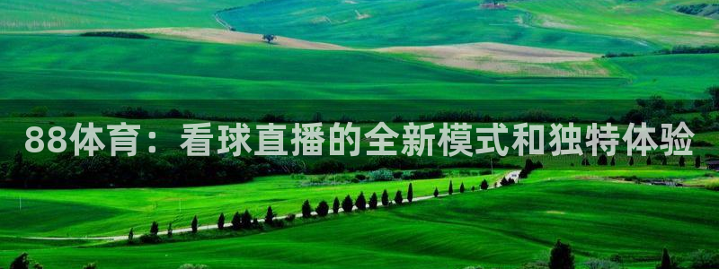 88体育：看球直播的全新模式和独特体验
