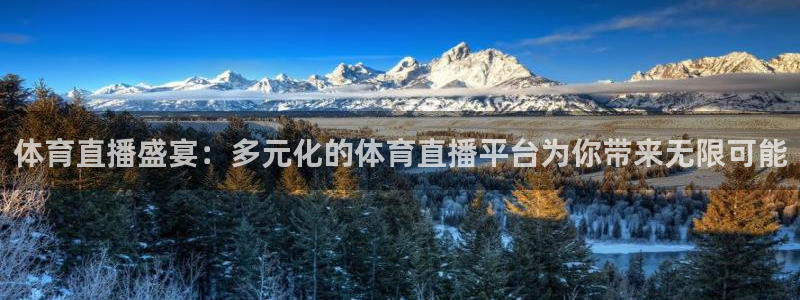 体育直播盛宴：多元化的体育直播平台为你带来无限可能