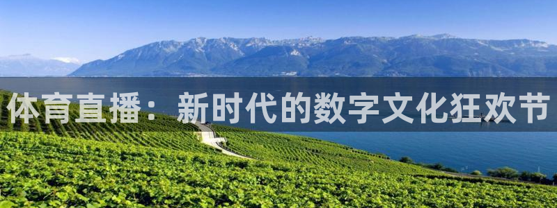 体育直播：新时代的数字文化狂欢节